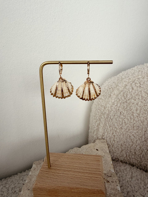 Malibu Shell Drop Earring