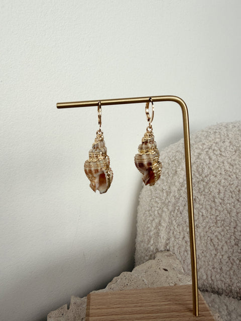 North Shore Shell Earring