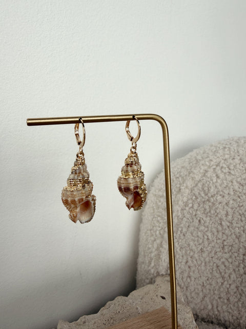 North Shore Shell Earring
